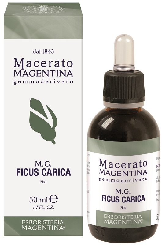 FICUS CARICA MACERATO MAGENTINA 50 ML - Angeli Pharm