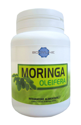MORINGA OLEIFERA 60 CAPSULE - Angeli Pharm