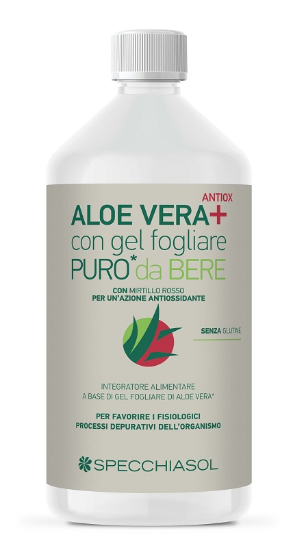 SUCCO ALOEVERA+ ALOE/MIRTILLO ROSSO 1 LITRO - Angeli Pharm