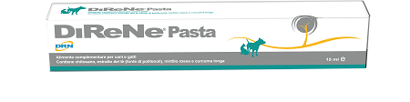DIRENE PASTA 15 ML - Angeli Pharm
