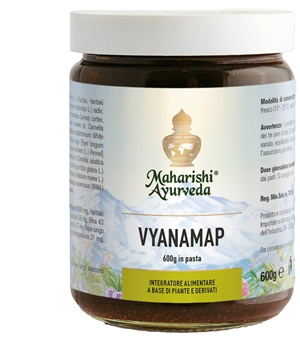 VYANAMAP PASTA 600 G - Angeli Pharm