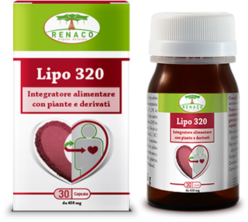 LIPO 320 30 CAPSULE - Angeli Pharm