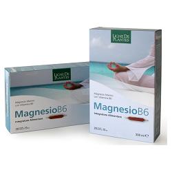 MAGNESIO B6 20 AMPOLLE BEVIBILI DA 15 ML - Angeli Pharm