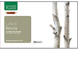 LINFA DI BETULLA BIOLOGICO 20 AMPOLLE BEVIBILI DA 15 ML - Angeli Pharm