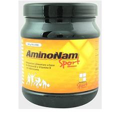 AMINONAM SPORT POLVERE BARATTOLO 500 G - Angeli Pharm