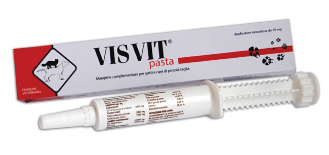 VISVIT PASTA OS SIRINGA 15 G - Angeli Pharm