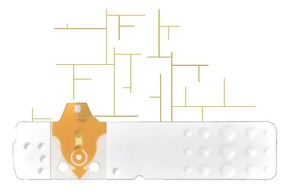 STRISCE MISURAZIONE GLICEMIA LINEA D ORO 25 PEZZI - Angeli Pharm