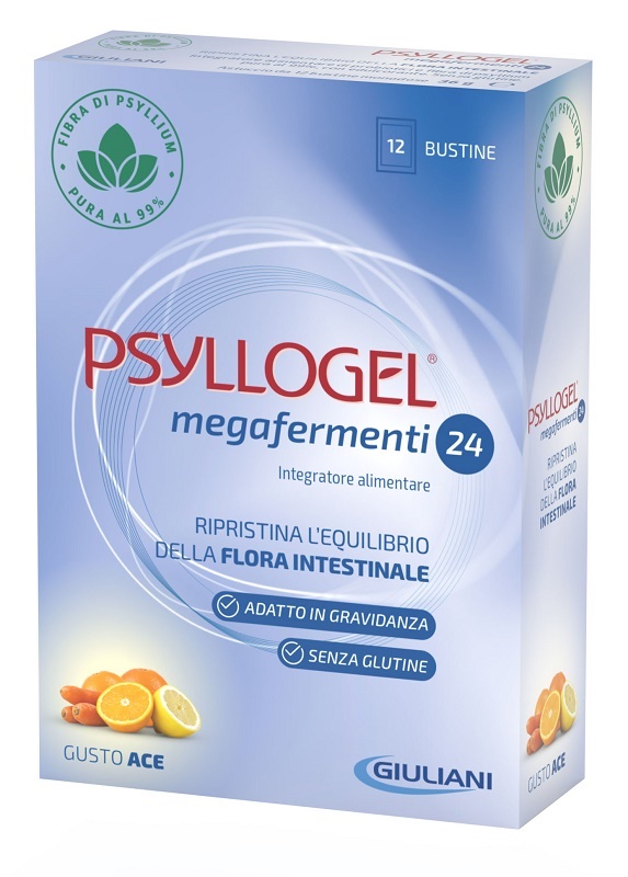 PSYLLOGEL MEGAFERMENTI 24 ACE 12 BUSTE 3 G - Angeli Pharm