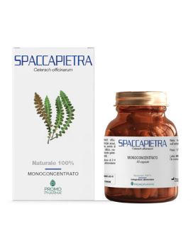 SPACCAPIETRA 50 CAPSULE - Angeli Pharm