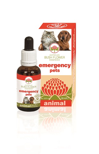EMERGENCY PETS 30 ML - Angeli Pharm