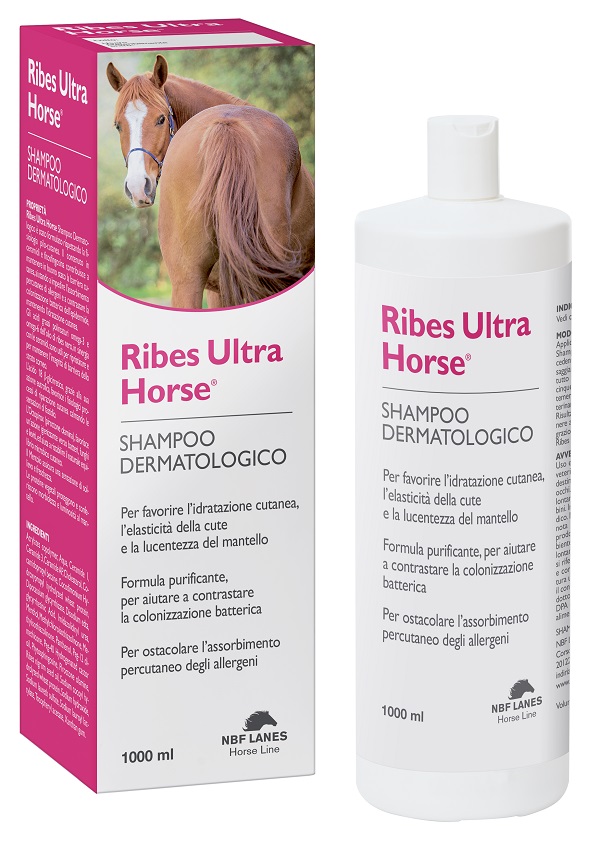 RIBES HORSE ULTRA SHAMPOO DERMATOLOGICO 1 LITRO - Angeli Pharm