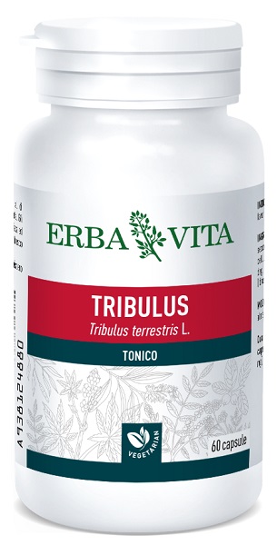 TRIBULUS TERRESTRIS 60 CAPSULE 500 MG - Angeli Pharm
