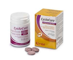 CYSTOCURE FORTE BARATTOLO 30 COMPRESSE - Angeli Pharm