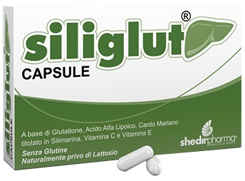 SILIGLUT 20 CAPSULE - Angeli Pharm