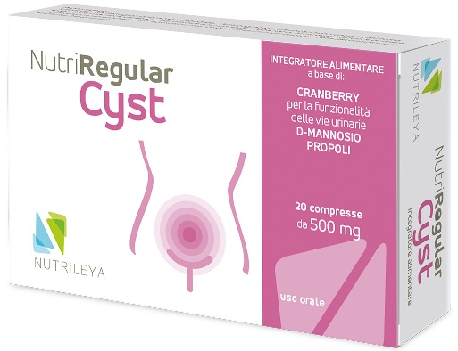 NUTRIREGULAR CYST 20 CAPSULE 500 MG - Angeli Pharm