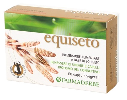 EQUISETO 60 CAPSULE - Angeli Pharm