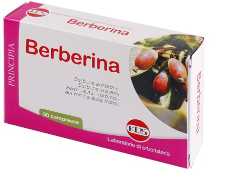 BERBERINA ESTRATTO SECCO 60 COMPRESSE - Angeli Pharm