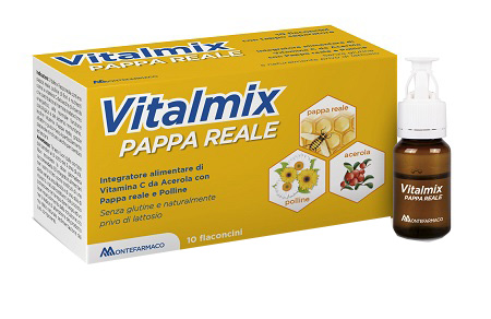 VITALMIX PAPPA REALE 10FLACONCINI X10 ML S/GL - Angeli Pharm