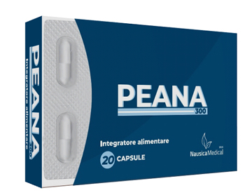 PEANA 300 20 CAPSULE - Angeli Pharm