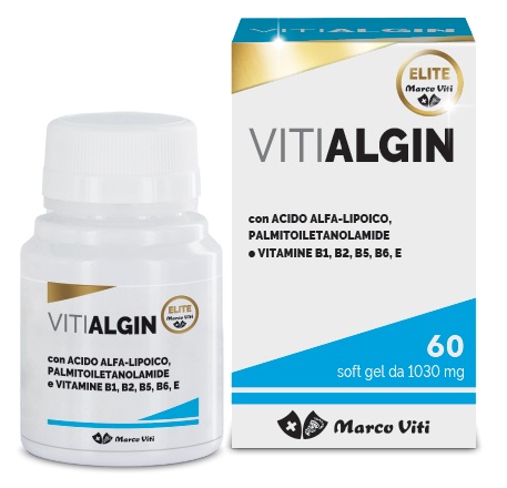 VITIALGIN 1030 MG 60 PERLE - Angeli Pharm