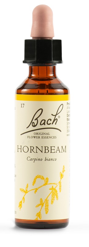 HORNBEAM BACH ORIG 20 ML - Angeli Pharm