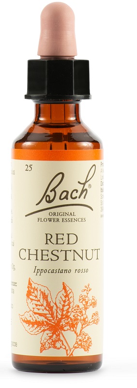 RED CHESTNUT BACH ORIG 20 ML - Angeli Pharm