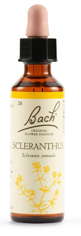 SCLERANTUS BACH ORIG 20 ML - Angeli Pharm