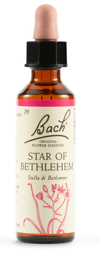 STAR OF BETHL ORIG 20 ML - Angeli Pharm