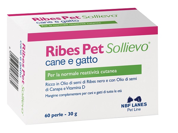 RIBES PET SOLLIEVO BLISTER 60 PERLE - Angeli Pharm