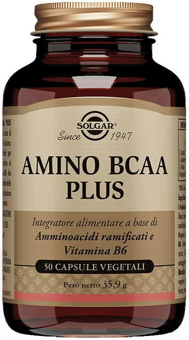 AMINO BCAA PLUS 50 CAPSULE - Angeli Pharm