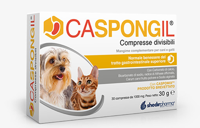 CASPONGIL 30 COMPRESSE DIVISIBILI - Angeli Pharm