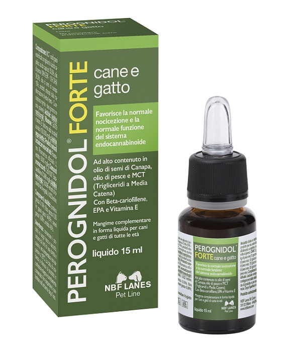 PEROGNIDOL FORTE 15 ML - Angeli Pharm
