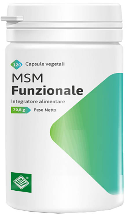 MSM FUNZIONALE 120 CAPSULE DA 590 MG - Angeli Pharm