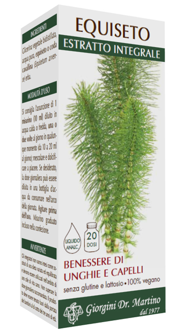 EQUISETO ESTRATTO INTEGRALE 200 ML - Angeli Pharm