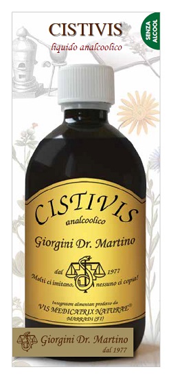 CISTIVIS 500 ML LIQUIDO ANALCOLICO - Angeli Pharm
