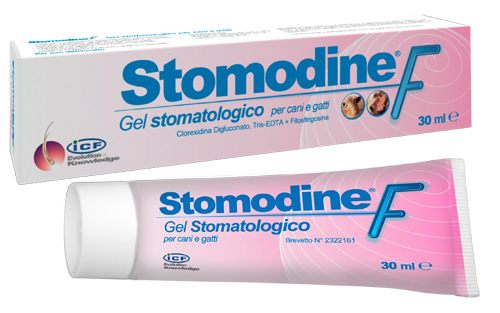 STOMODINE F 30 ML - Angeli Pharm