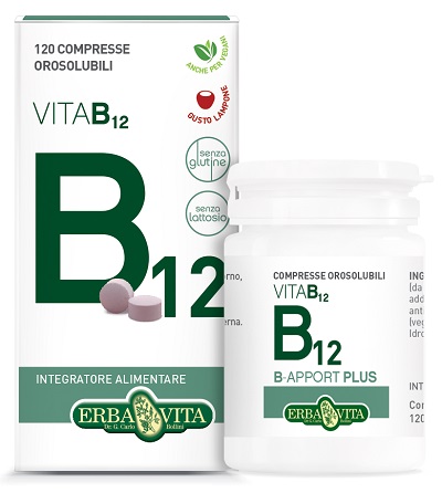 B APPORT VITAMINA B12 120 COMPRESSE OROSOLUBILI - Angeli Pharm