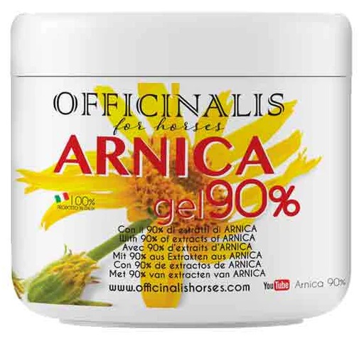 ARNICA GEL 90% 500 ML - Angeli Pharm