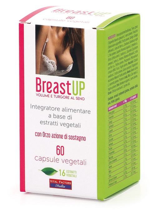 BREAST UP 60 CAPSULE - Angeli Pharm