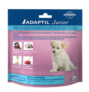 ADAPTIL JUNIOR COLLARE - Angeli Pharm