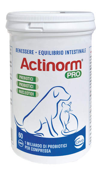 ACTINORM PRO FLACONE 60 COMPRESSE - Angeli Pharm