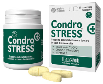 CONDROSTRESS + 30 COMPRESSE MASTICABILI - Angeli Pharm