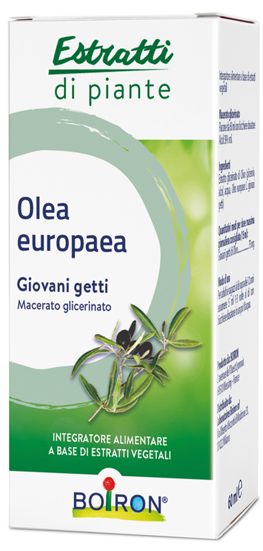 OLEA EUROPAEA BOIRON MACERATO GLICERICO 60 ML - Angeli Pharm