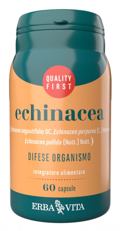 ECHINACEA 60 CAPSULE - Angeli Pharm