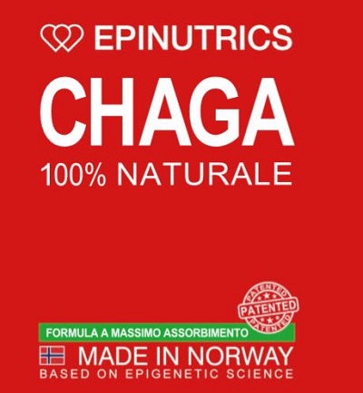 EPINUTRICS EPI CHAGA 60 CAPSULE - Angeli Pharm