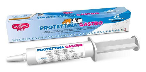 PROTETTINA GASTRO PASTA IN SIRINGA 30 G - Angeli Pharm