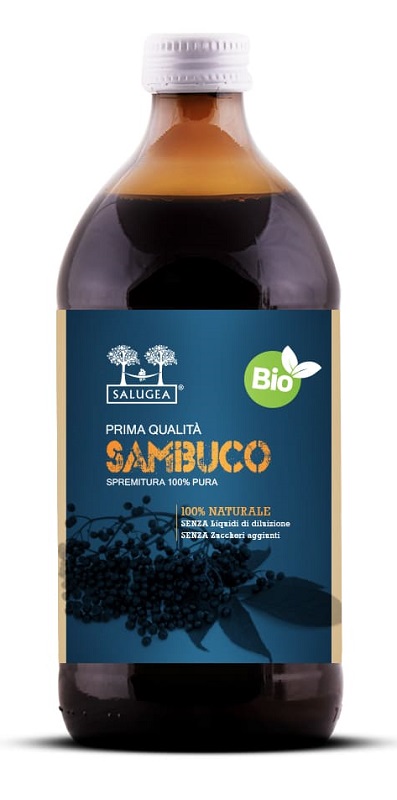 SALUGEA SUCCO SAMBUCO BIO 500 ML - Angeli Pharm