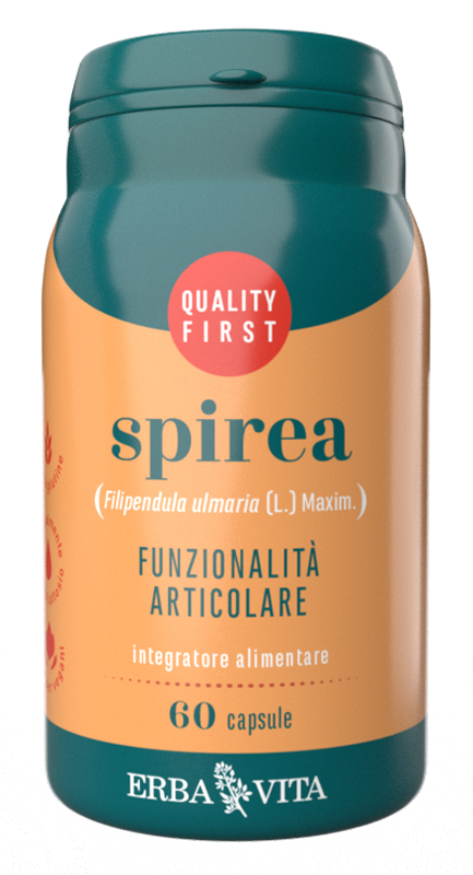 SPIREA 60 CAPSULE - Angeli Pharm