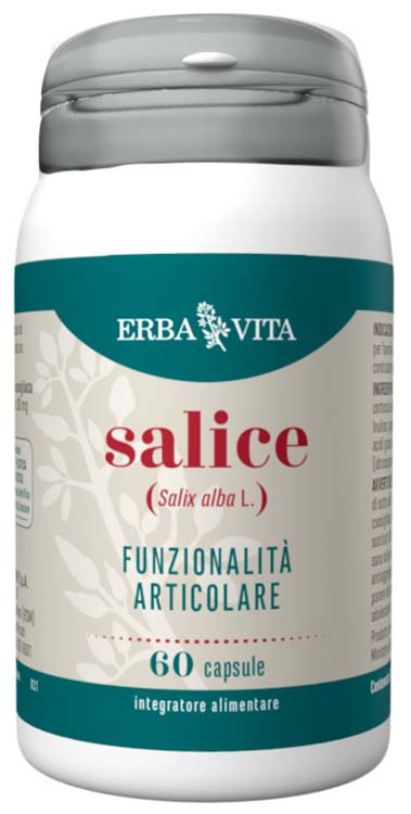 SALICE 60 CAPSULE - Angeli Pharm