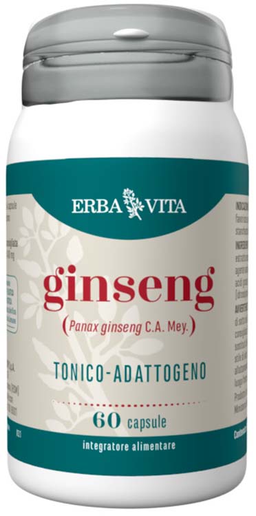 GINSENG 60 CAPSULE - Angeli Pharm